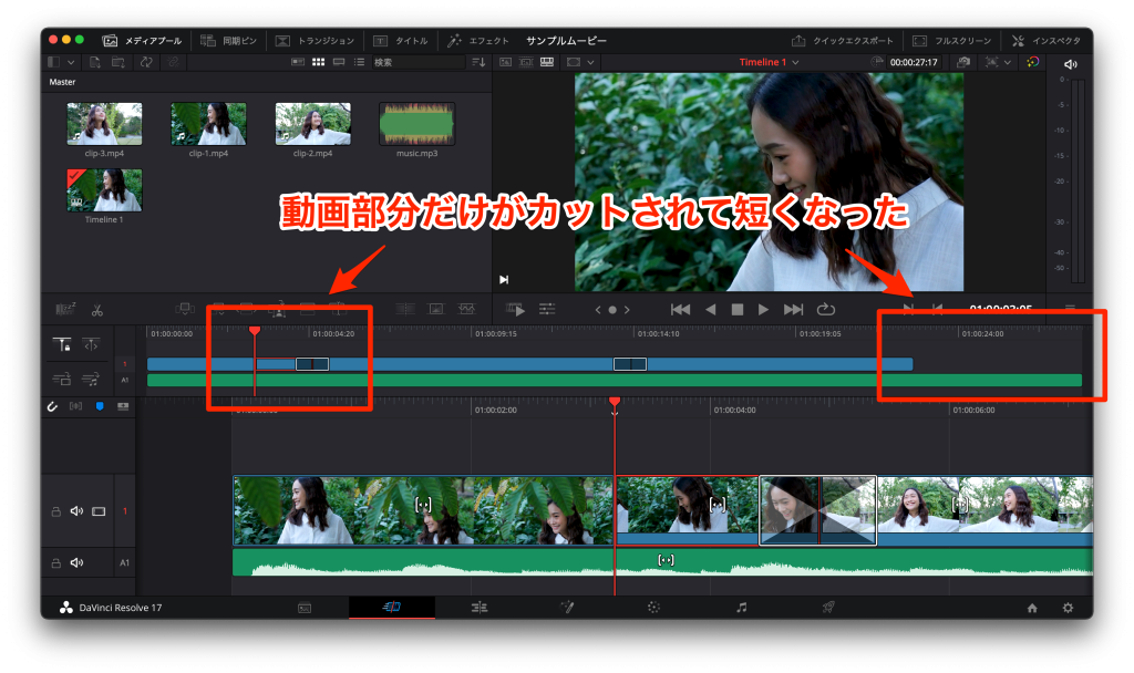 DaVinci Resolveのスクリーンショット